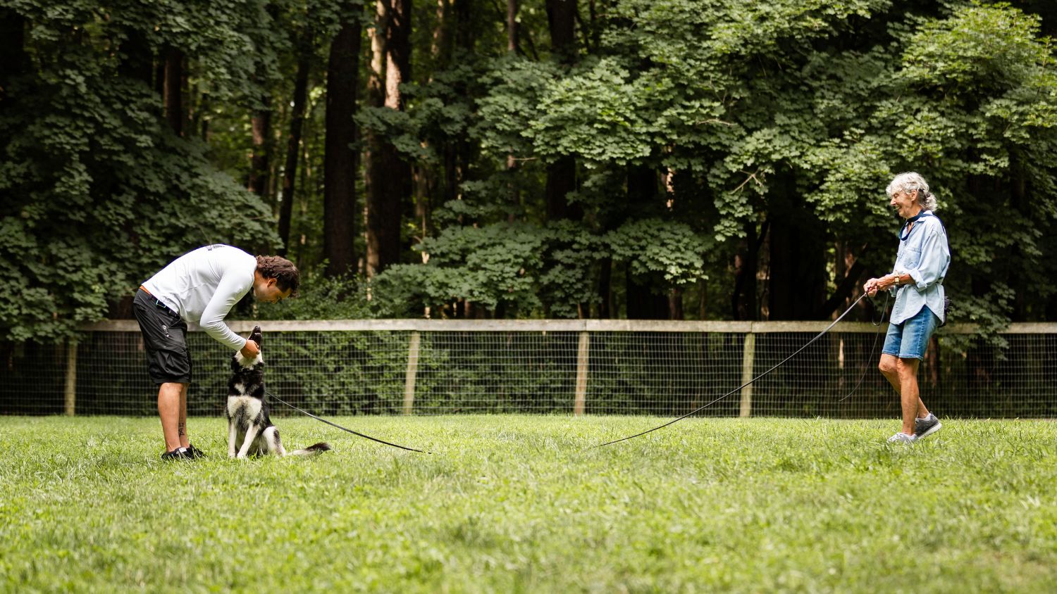 Wilde American dog trainers using Long Line product outside with dog