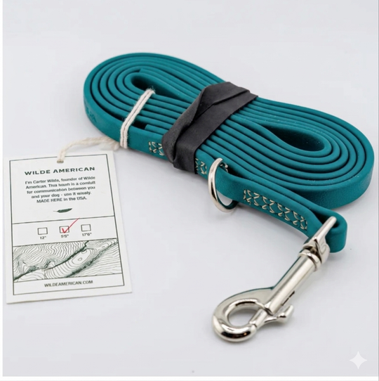 5.5 Flat Leash 2.0 Teal