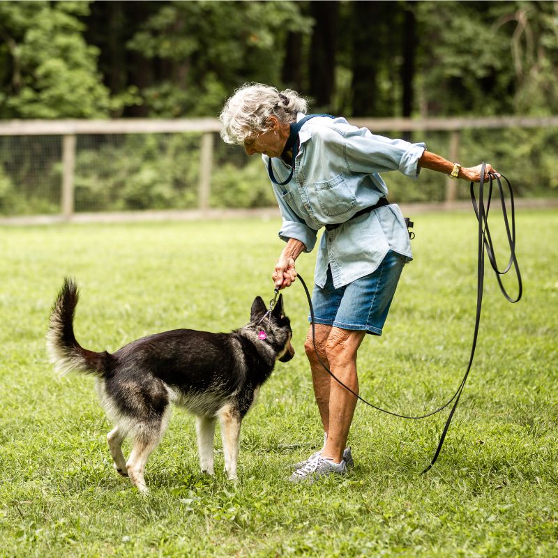 Dog trainer pulls dog with Wilde American Long Line Dog Leash on grassy field 