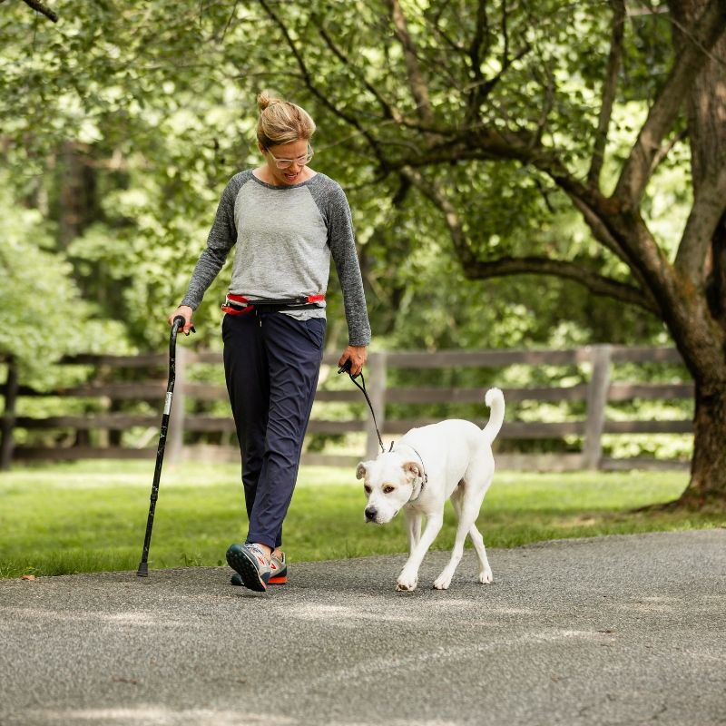 Dog trainer walking happy dog on driveway with the Wilde American Micro Leash