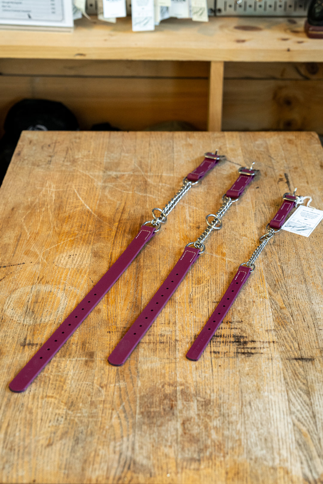 The Holdfast Martingale Collar