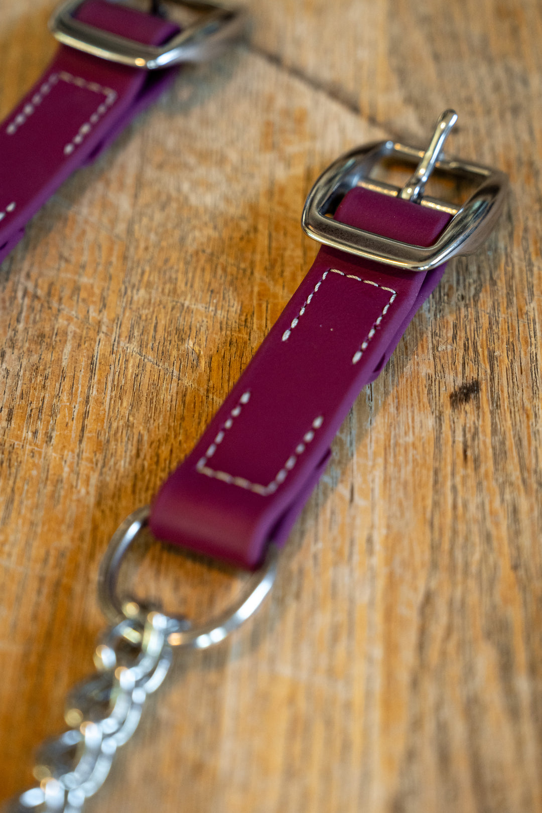 The Holdfast Martingale Collar