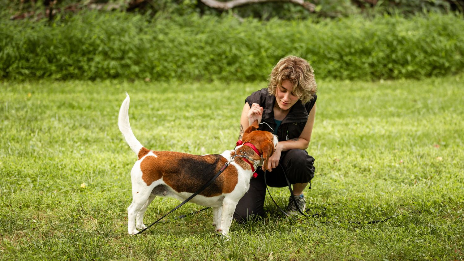 Wilde American dog trainer interacts with happy dog outside