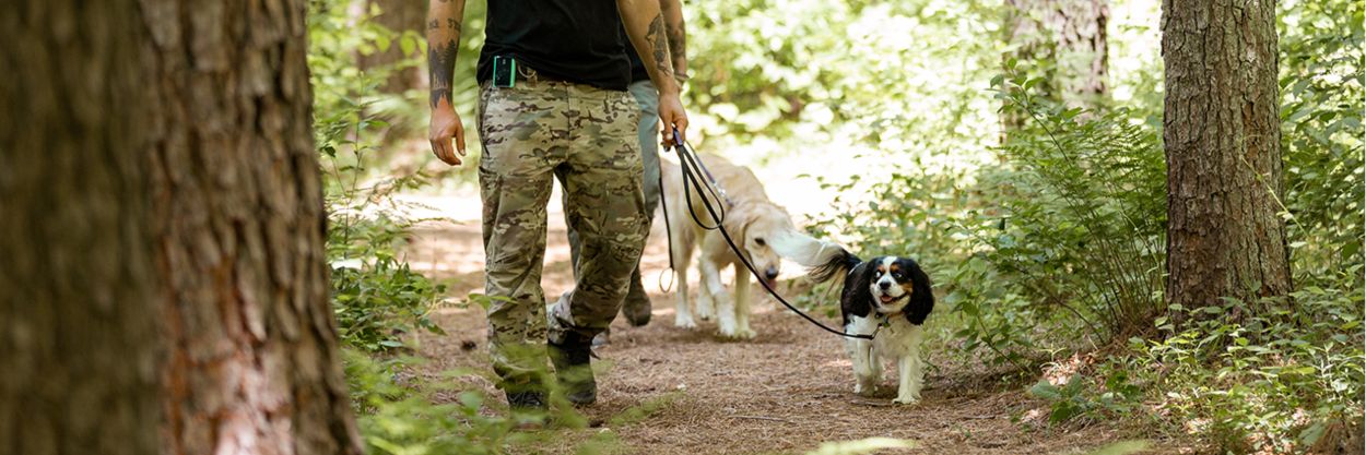 Wilde American trainer walks dog in woods with flat leash