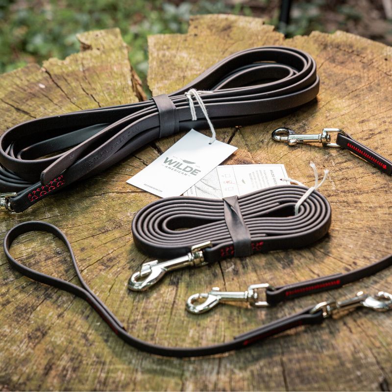 Wilde American flat lay of four dog leashes in collection on wooden stump