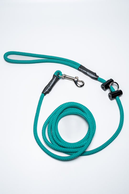 The Slip & Clip: 2 in 1 Lead Teal