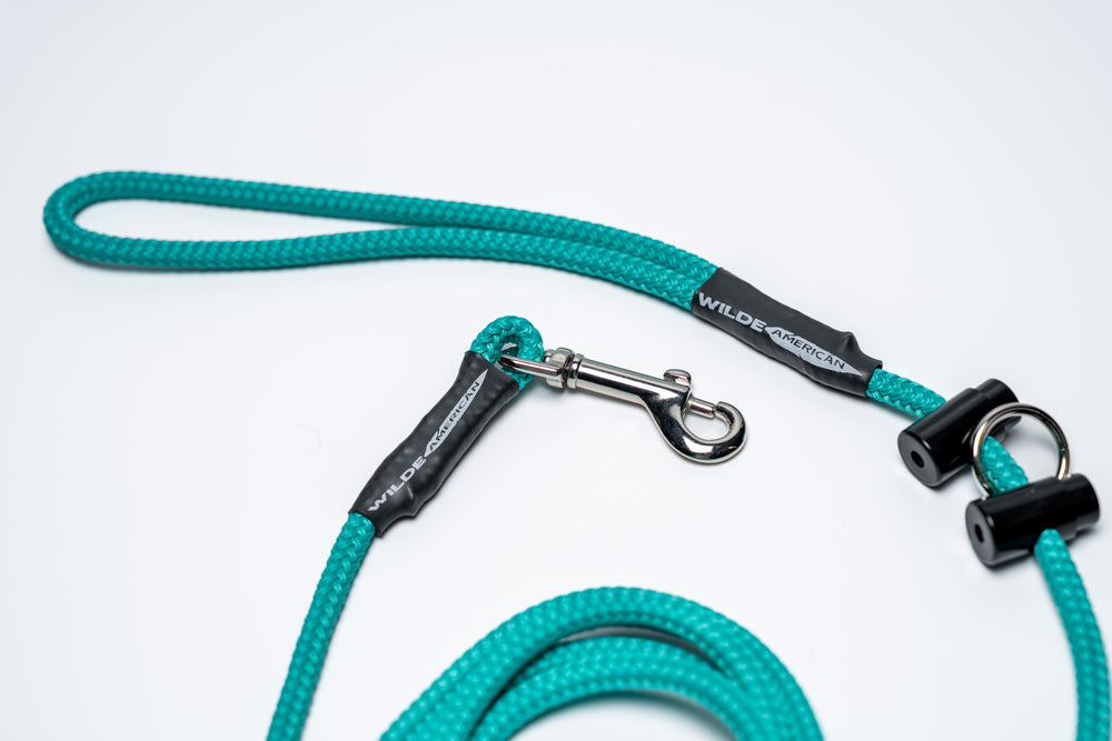 The Slip & Clip: 2 in 1 Lead Teal