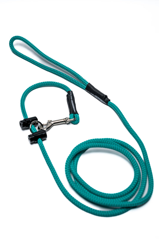 The Slip & Clip: 2 in 1 Lead Teal