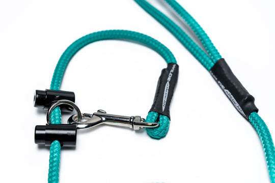 The Slip & Clip: 2 in 1 Lead Teal