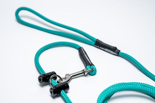 The Slip & Clip: 2 in 1 Lead Teal